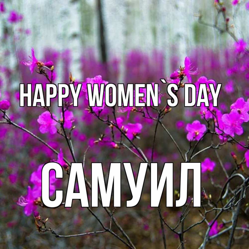 Greetings card с именем, Самуил happy women`s day дикие цветы Greetings with text for free download 